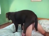 Lady got her tight pussy wrecked with dog's hard dick